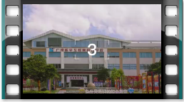 WҕlƷ333Уcҕl